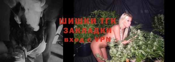 гидра Алексеевка