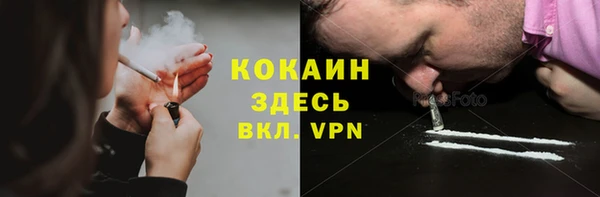 гидра Алексеевка
