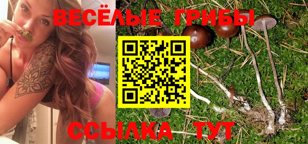 Псилоцибиновые грибы прущие грибы Кореновск